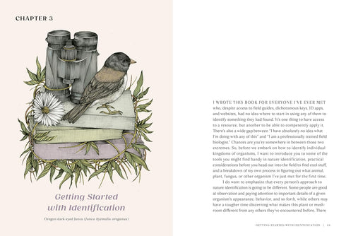 THE EVERYDAY NATURALIST - LEXA. REBECCA
